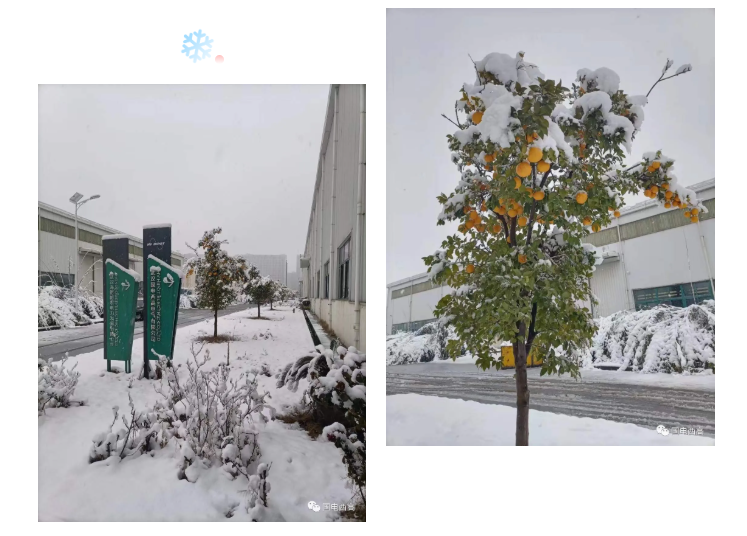 局部放電檢測(cè)儀，串聯(lián)諧振，SF6氣體檢漏儀