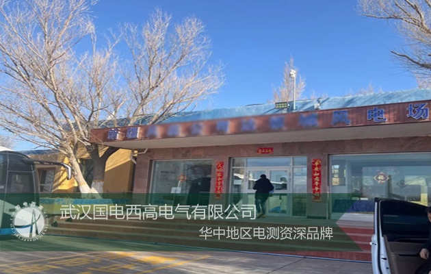 國電西高為新疆客戶提供安裝調試服務 國電西高為新疆客戶提供安裝調試服務