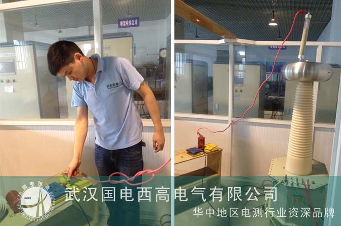 揚中質(zhì)檢所邀國電西高調(diào)試設(shè)備