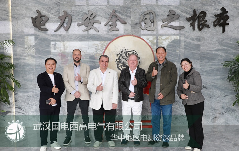 以實力為基，以誠意為橋：國電西高喜迎國際核心客戶深度探訪